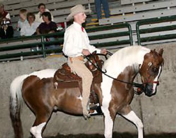 cowboycool.jpg